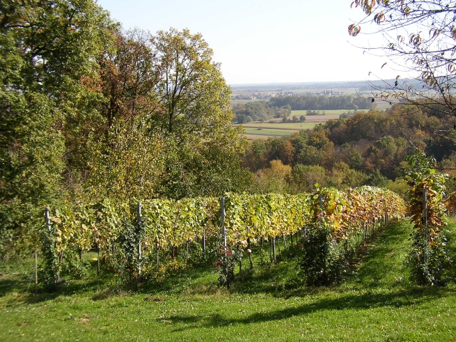 2008-10-18 Herbstausfahrt zum Heurigen Heindl